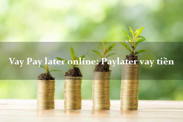 Vay Pay later online: Paylater vay tiền nóng gấp toàn quốc